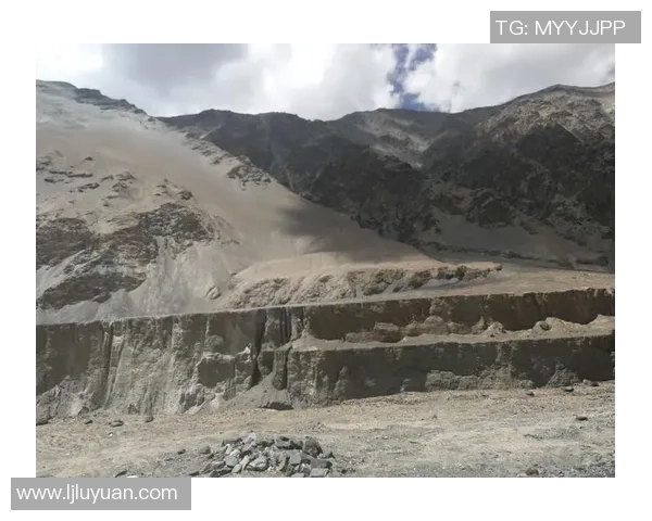 深度对话：探索陈丽在和平精英中的成长与挑战之路